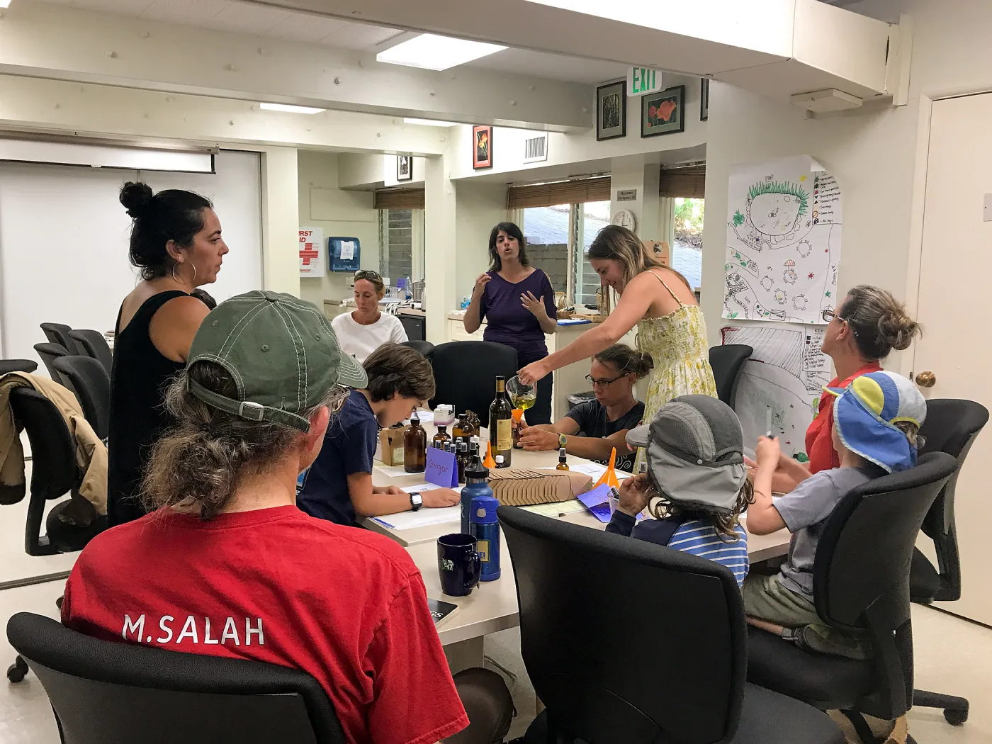 Herbal First Aid Kits For Families Workshop
