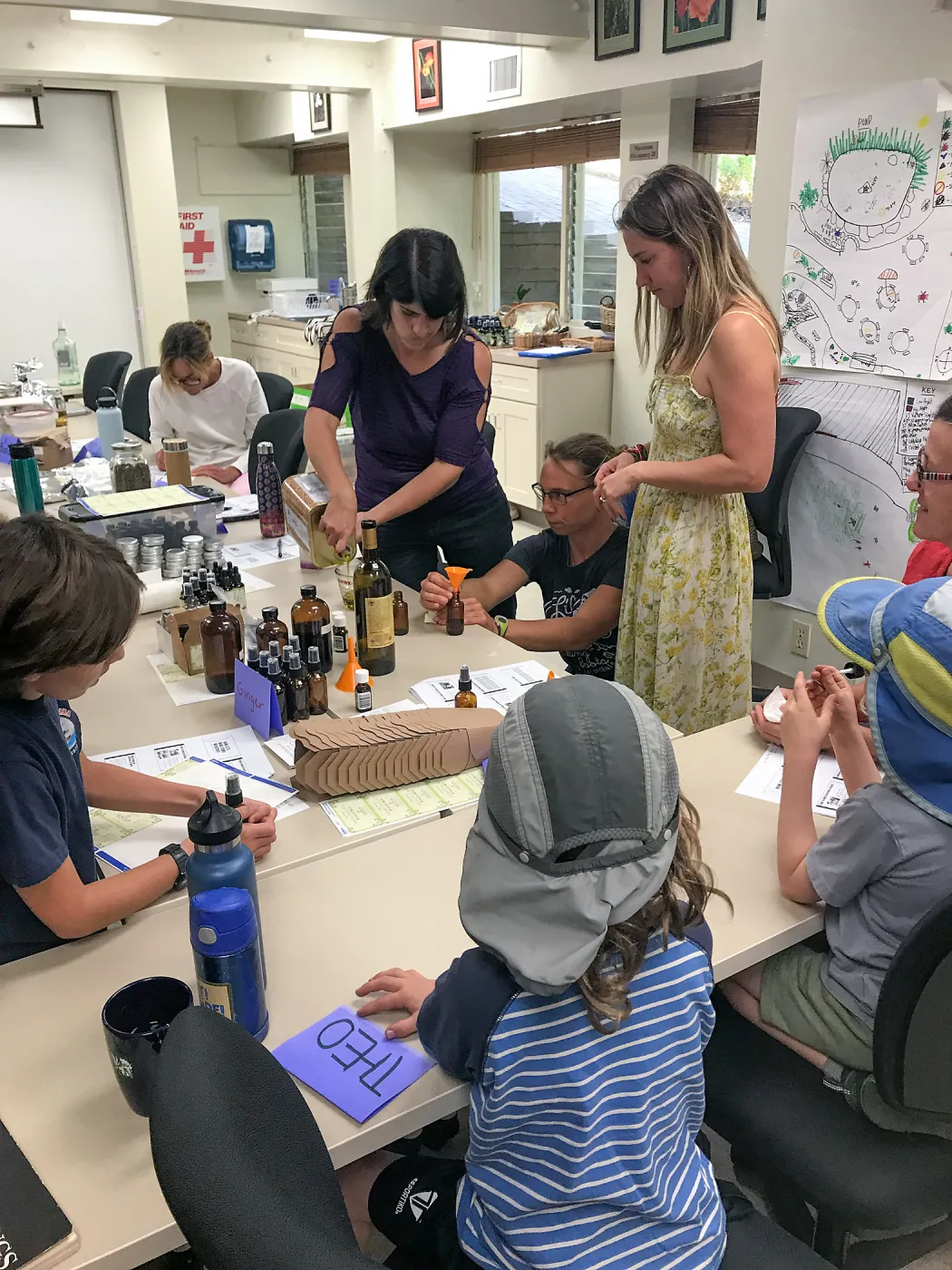 Herbal First Aid Kits For Families Workshop