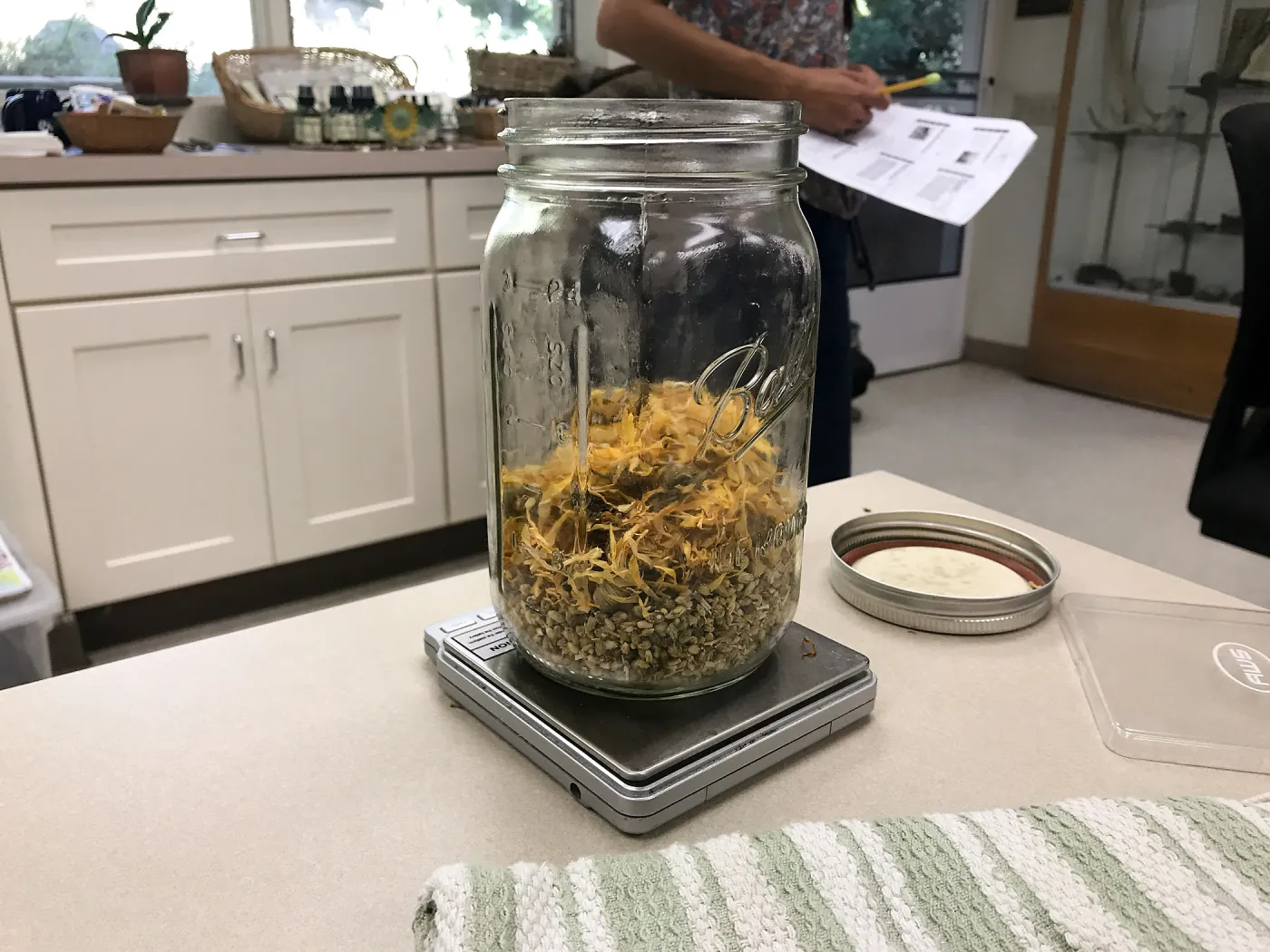 Herbal First Aid Kits For Families Workshop