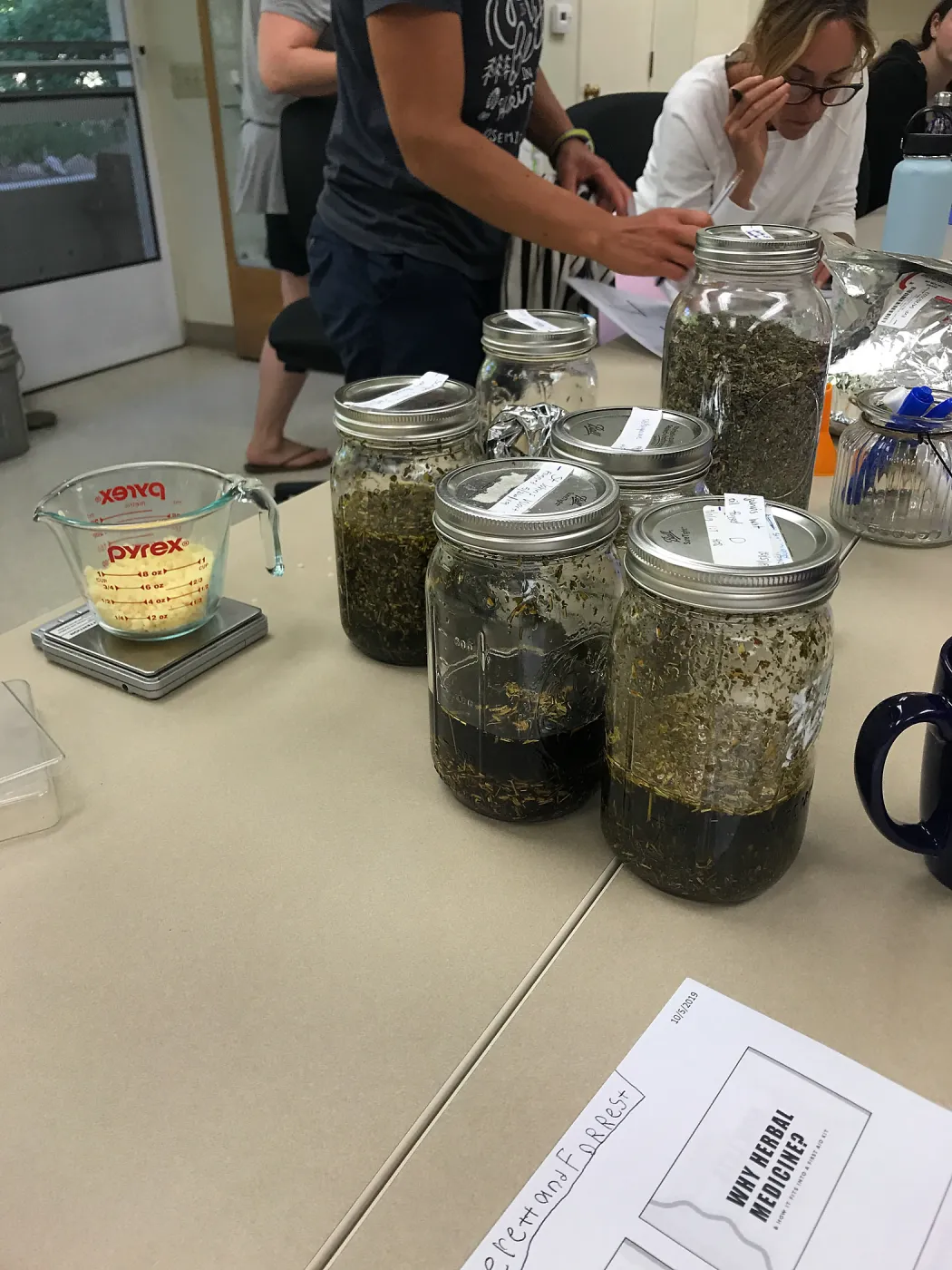 Herbal First Aid Kits For Families Workshop
