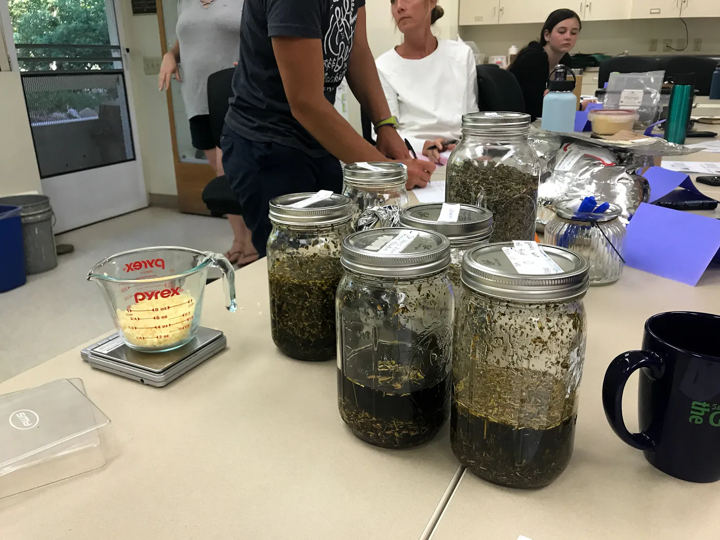 Herbal First Aid Kits For Families Workshop