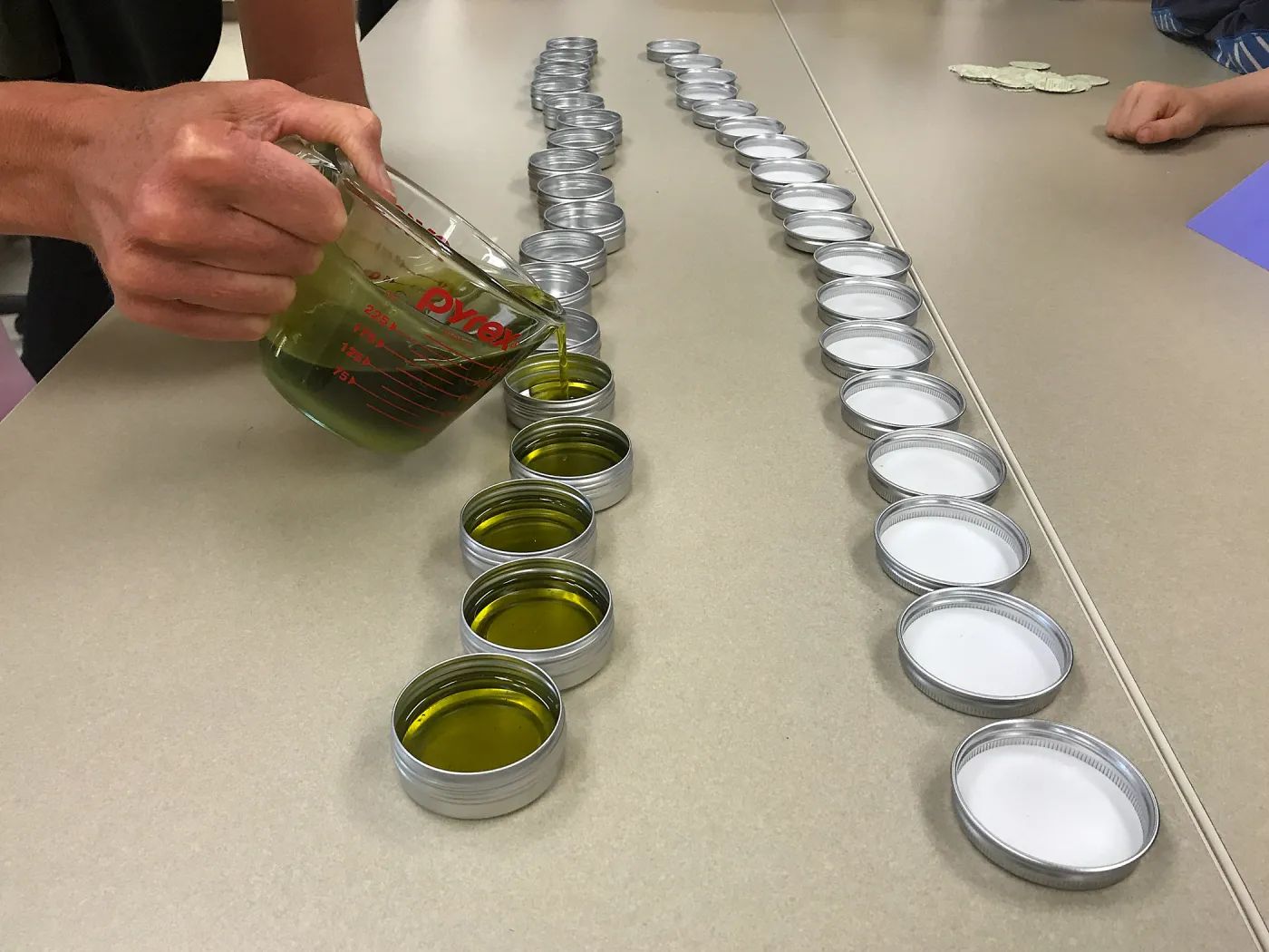 Herbal First Aid Kits For Families Workshop