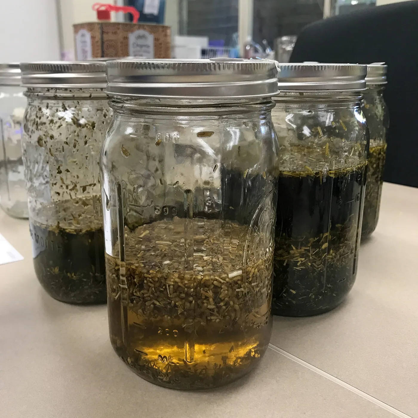 Herbal First Aid Kits For Families Workshop