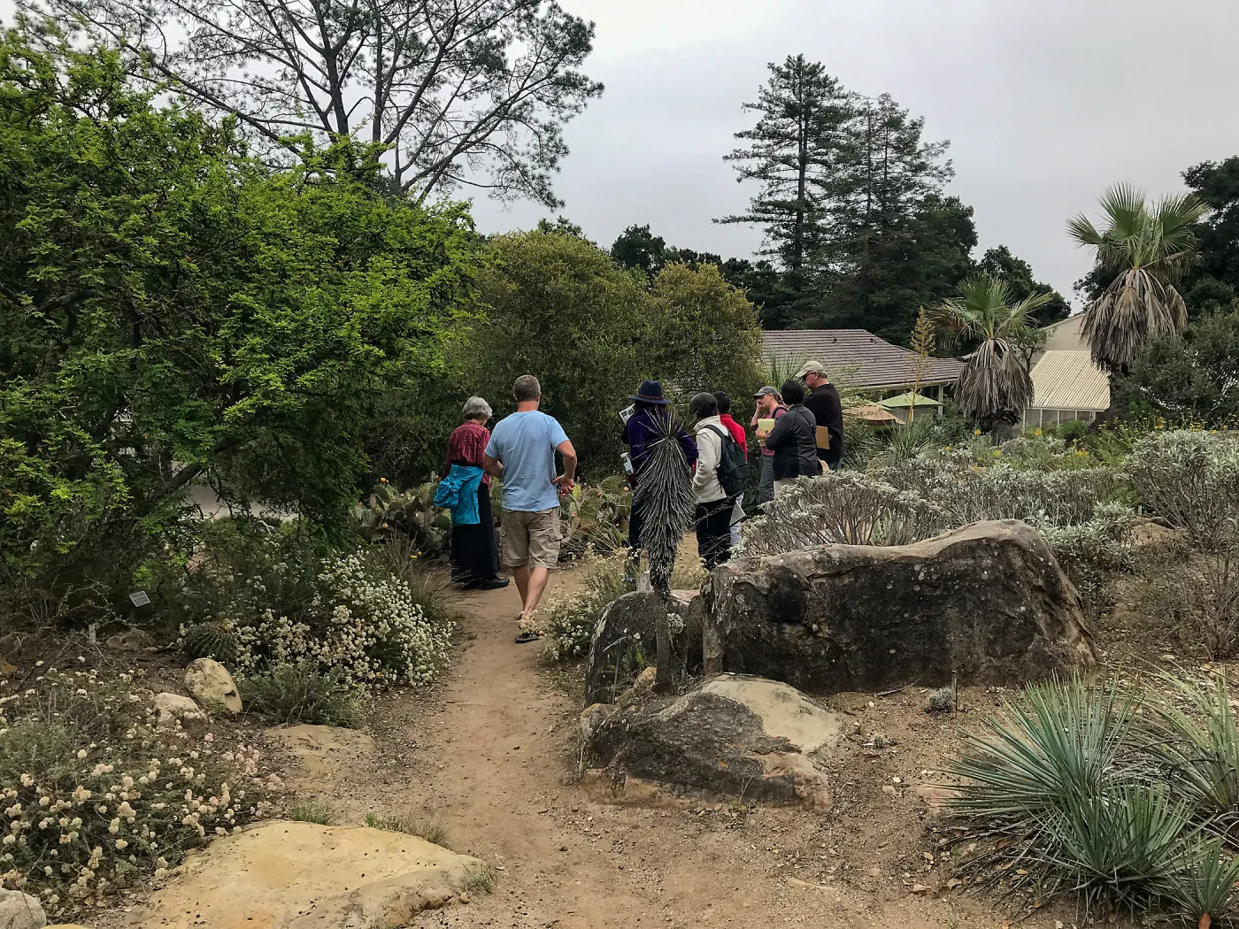 Building Habitat in Your Home Garden class with Stephanie Ranes