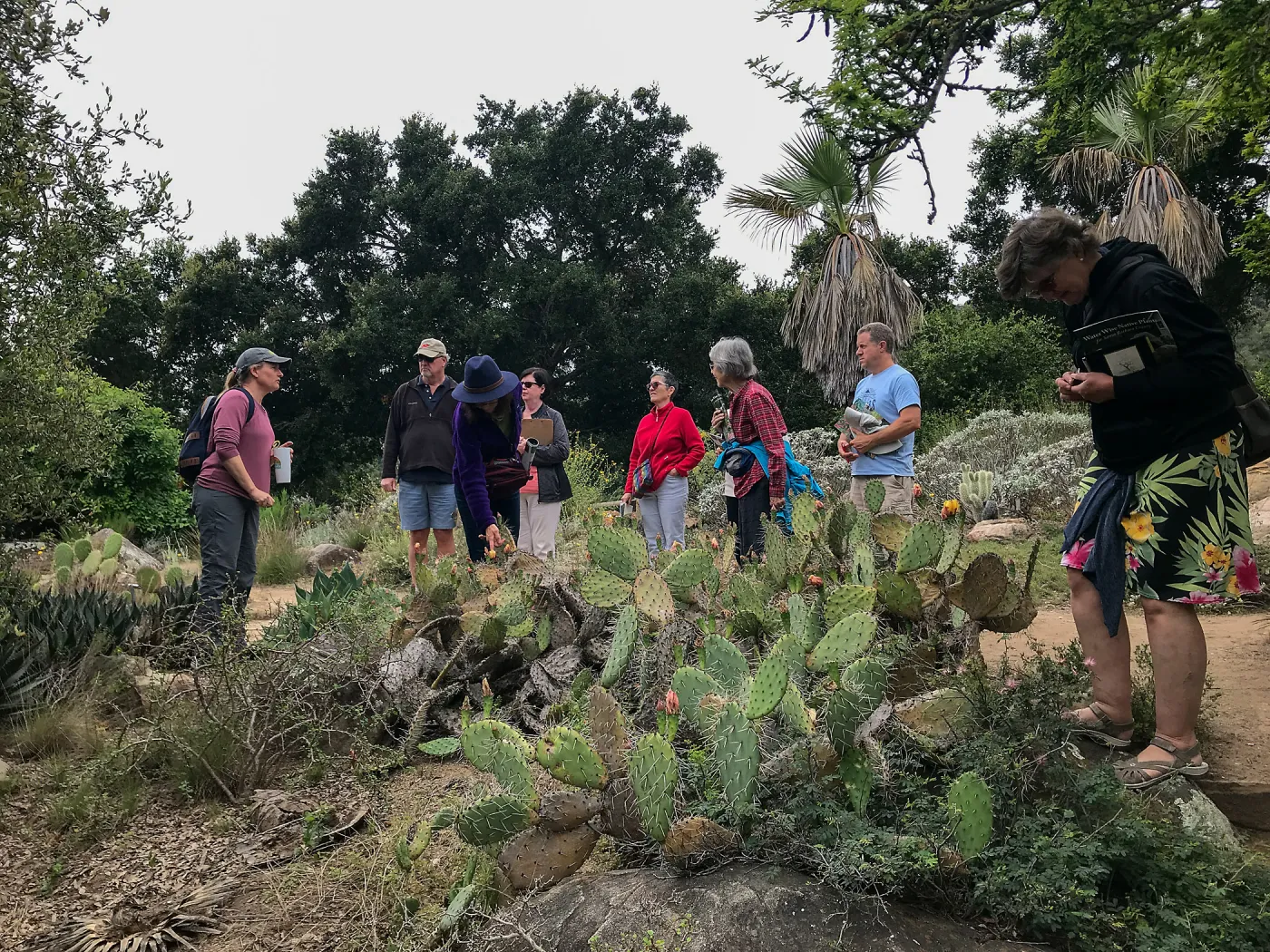 Building Habitat in Your Home Garden class with Stephanie Ranes