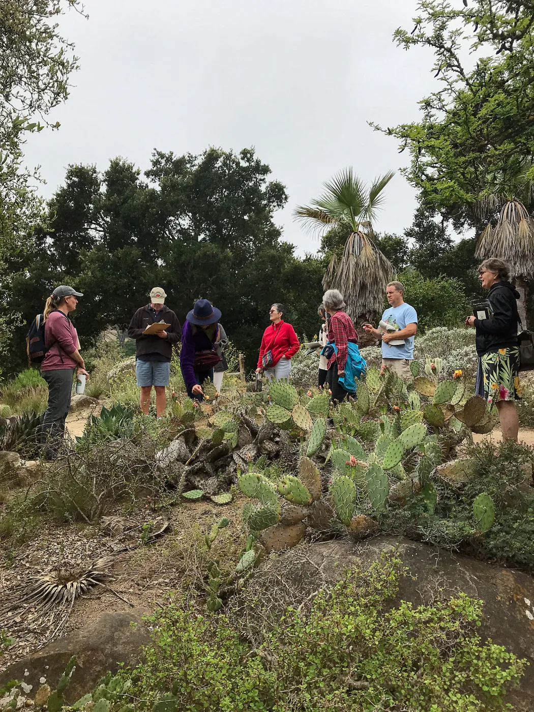 Building Habitat in Your Home Garden class with Stephanie Ranes