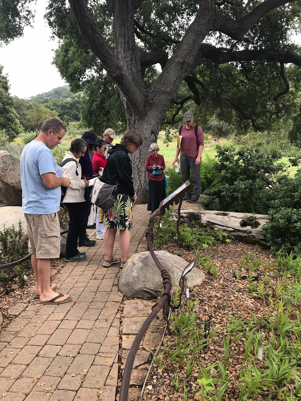 Building Habitat in Your Home Garden class with Stephanie Ranes