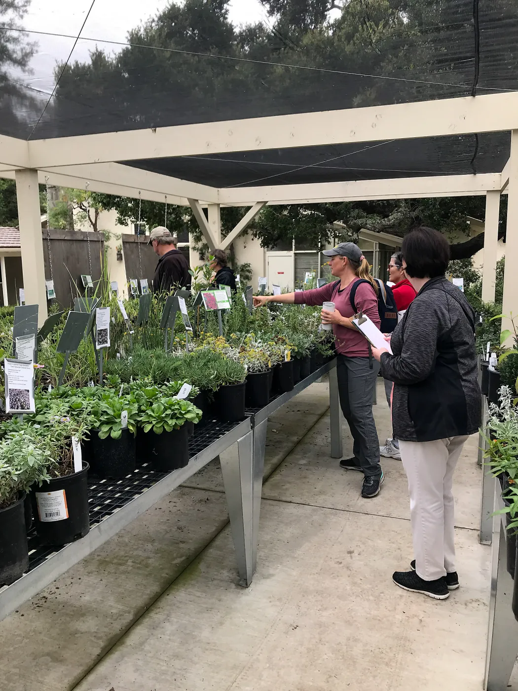 Building Habitat in Your Home Garden class with Stephanie Ranes