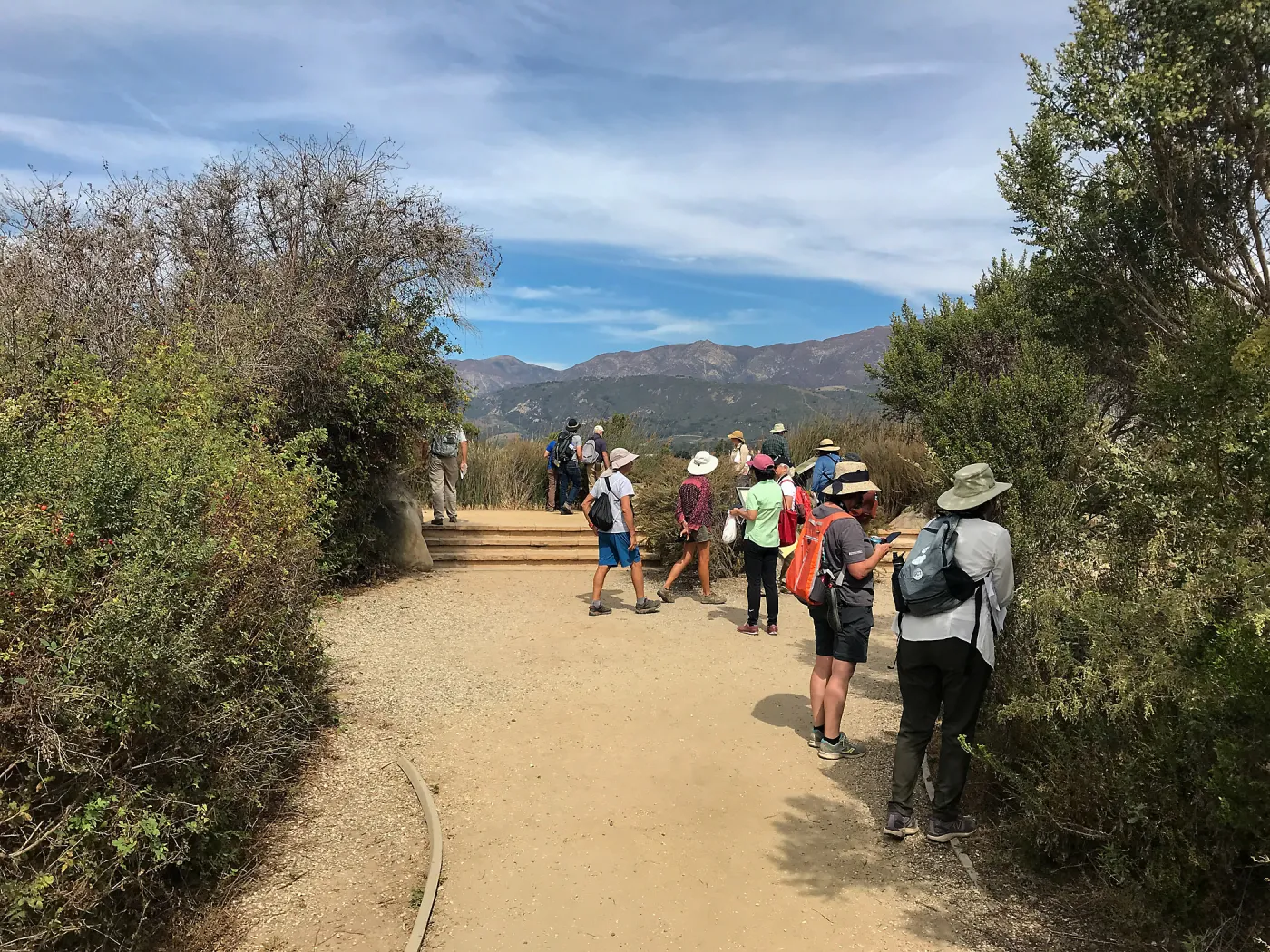 Carpinteria Bluffs and Marsh Field Trip
