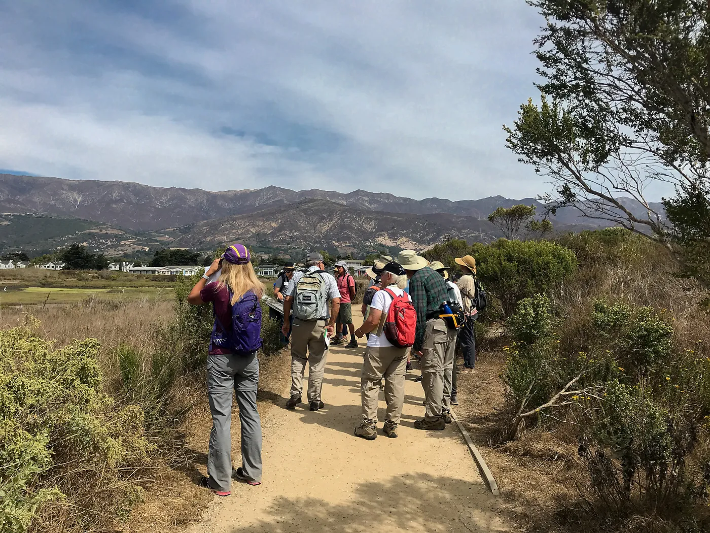 Carpinteria Bluffs and Marsh Field Trip