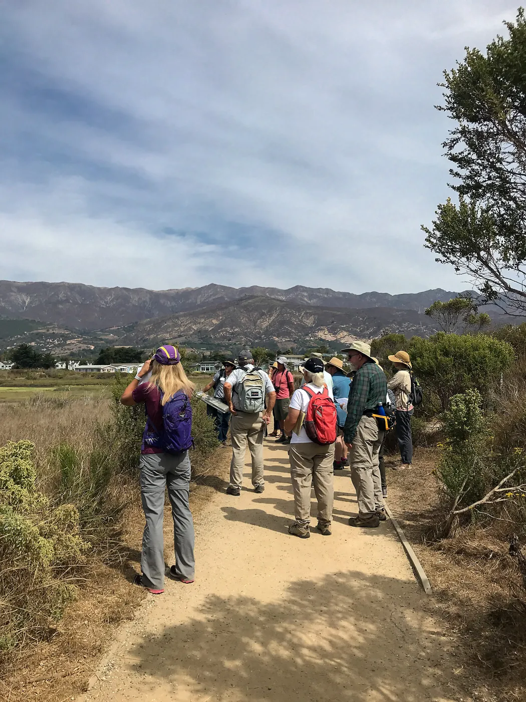 Carpinteria Bluffs and Marsh Field Trip
