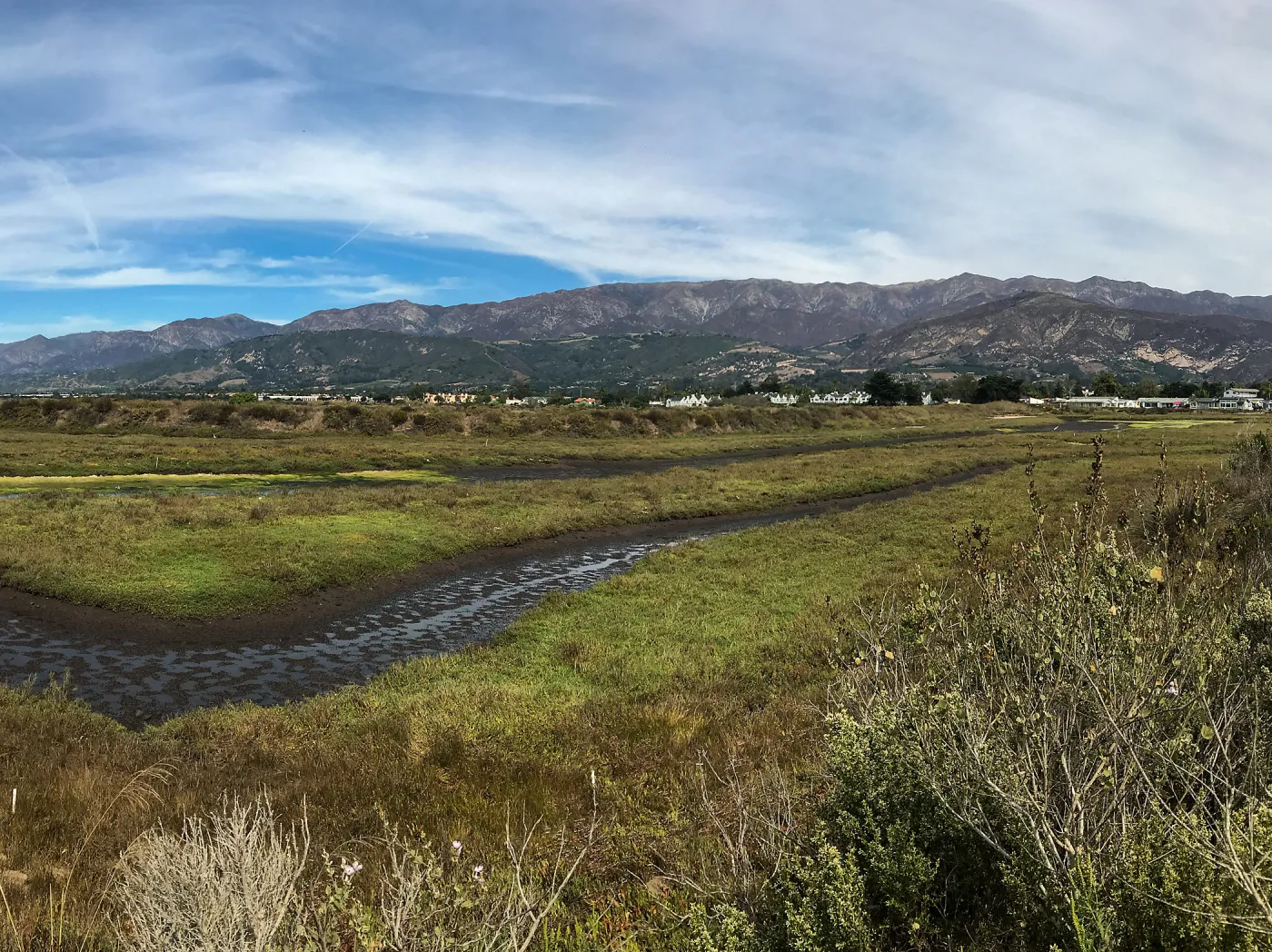 Carpinteria Bluffs and Marsh Field Trip