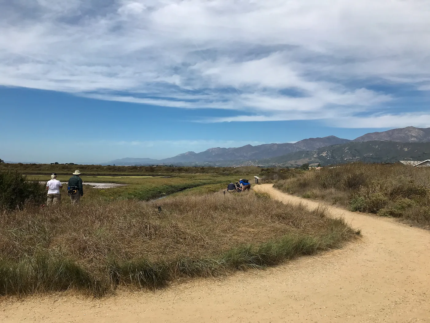 Carpinteria Bluffs and Marsh Field Trip