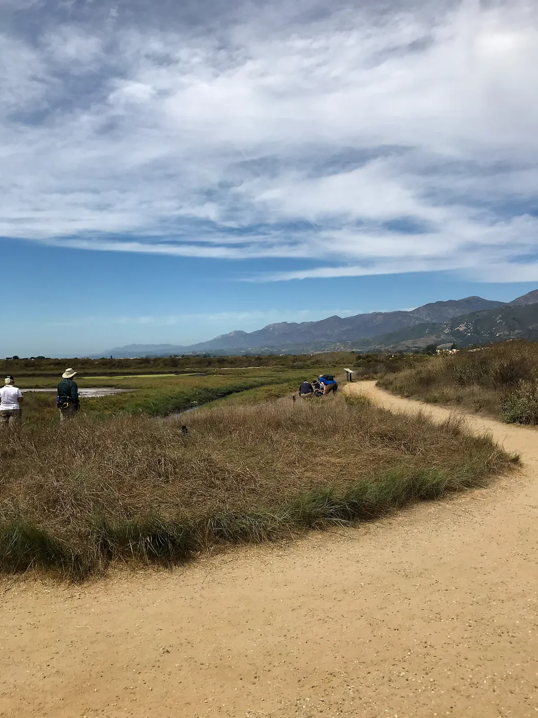 Carpinteria Bluffs and Marsh Field Trip