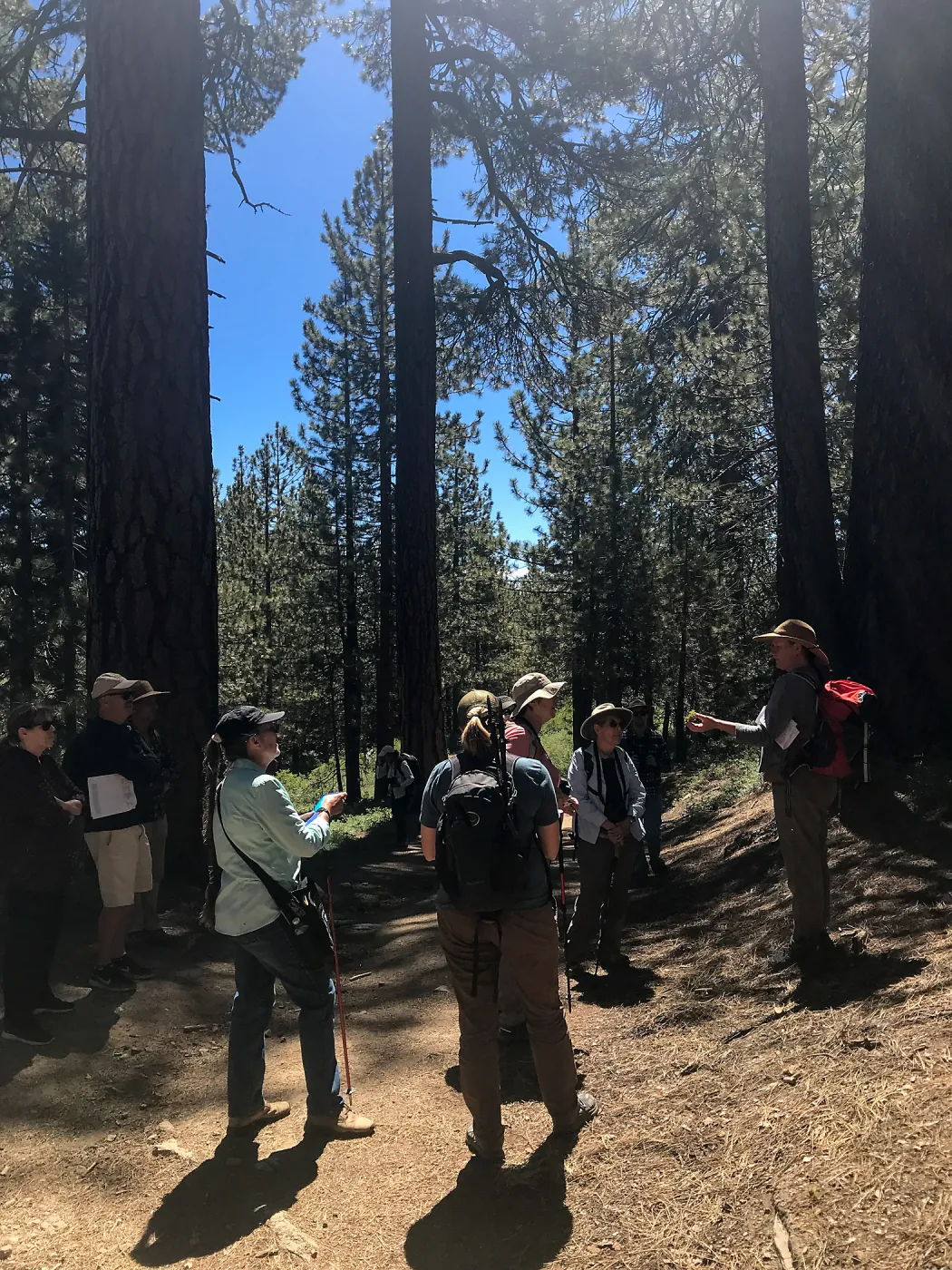Mt. PiÃ±os field trip