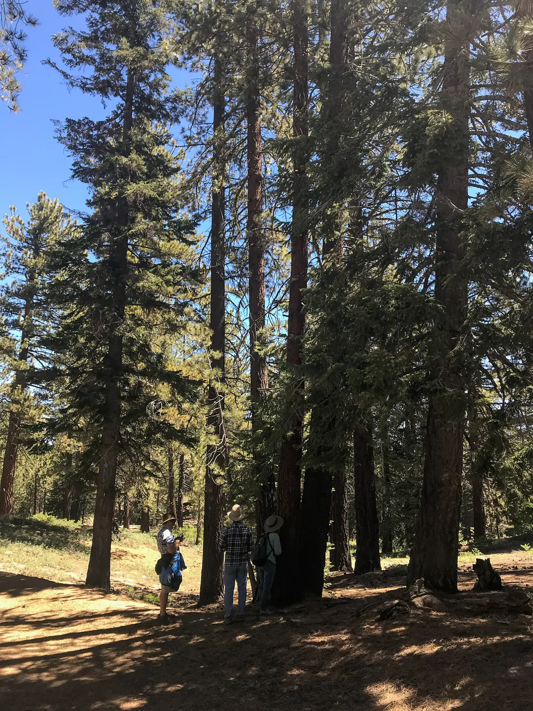 Mt. PiÃ±os field trip