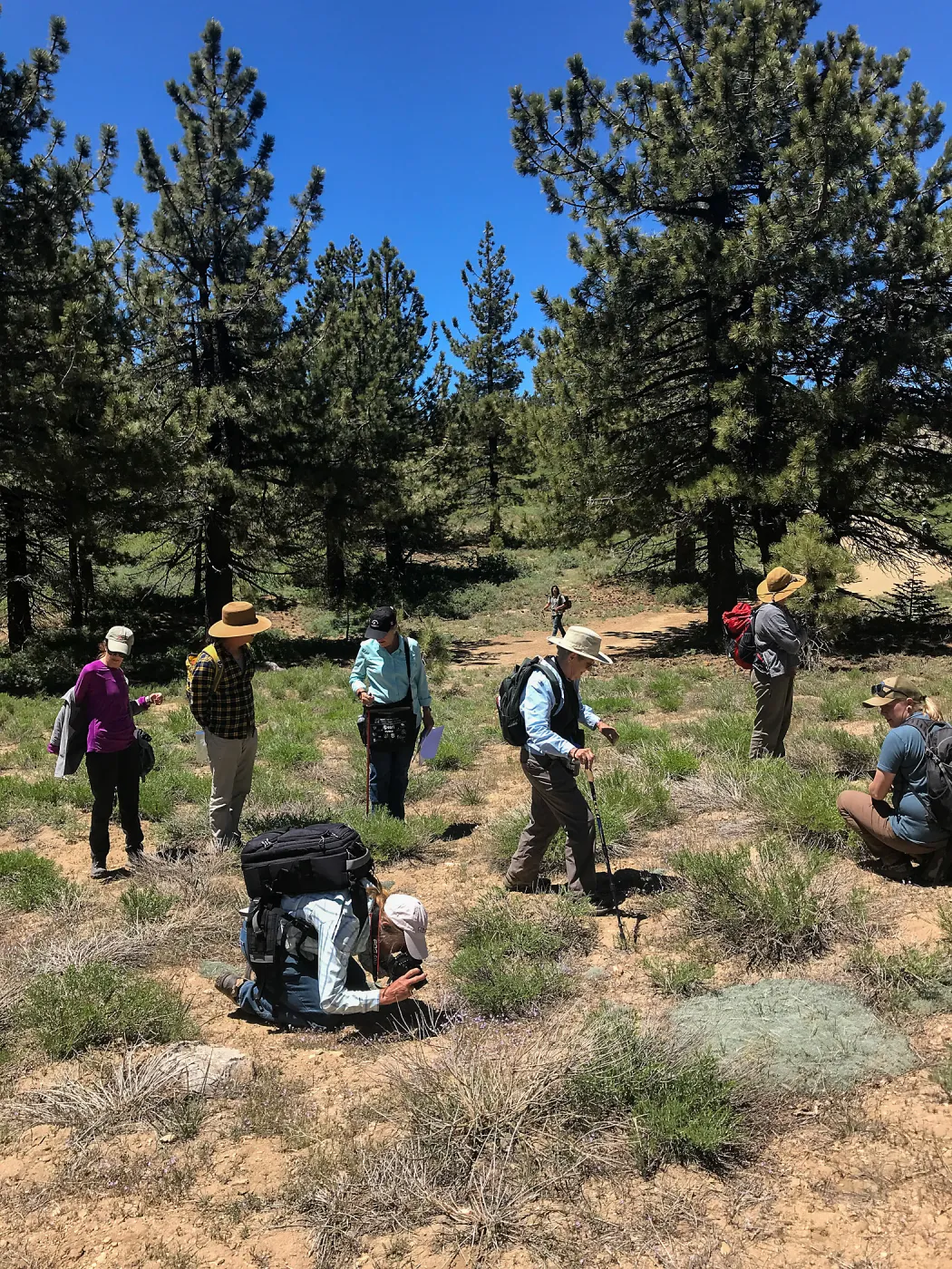 Mt. PiÃ±os field trip