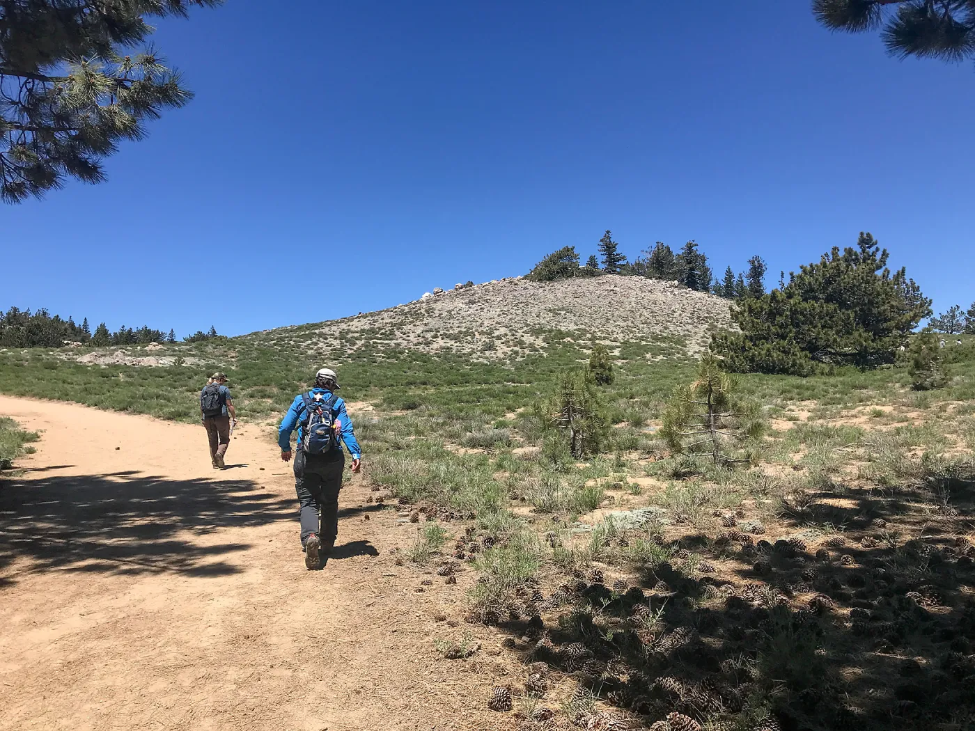Mt. PiÃ±os field trip