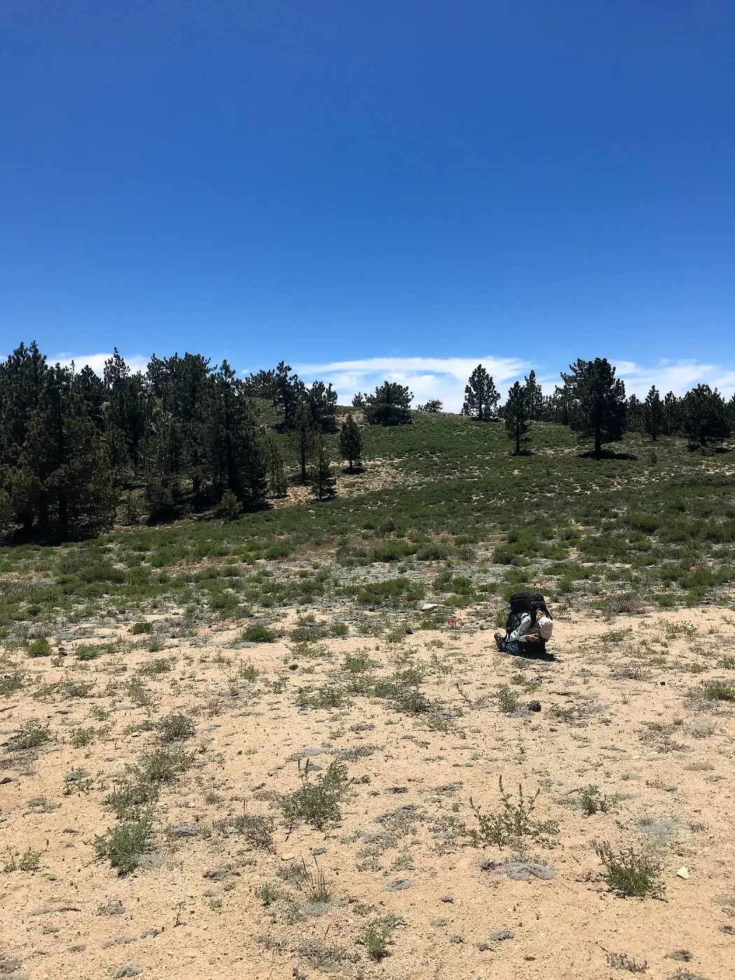 Mt. PiÃ±os field trip