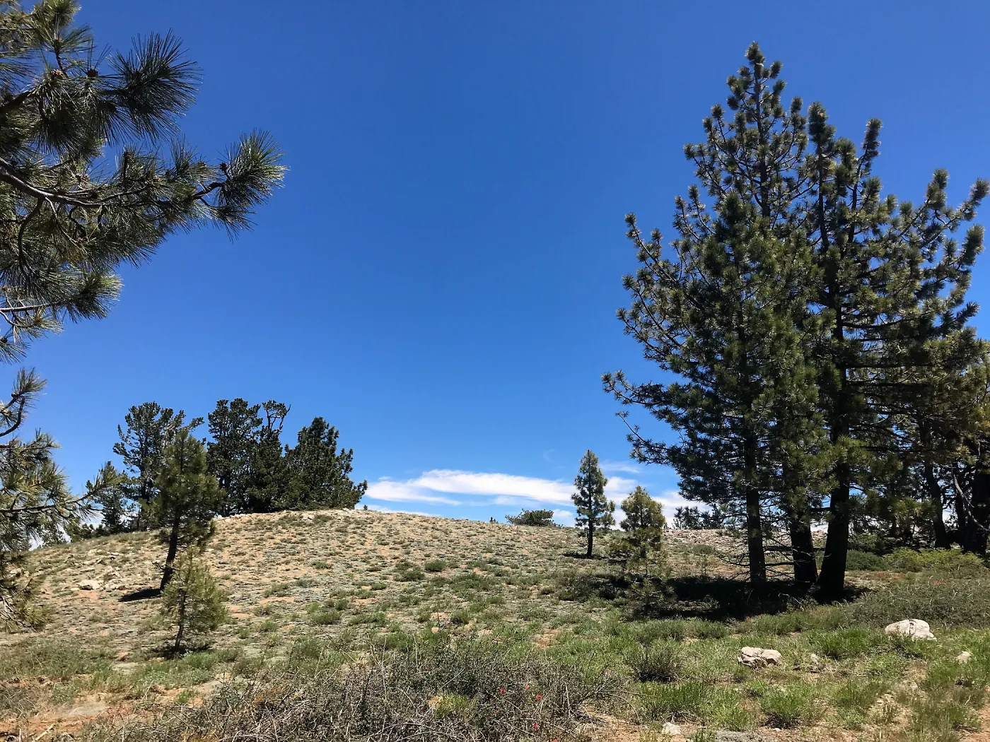Mt. PiÃ±os field trip