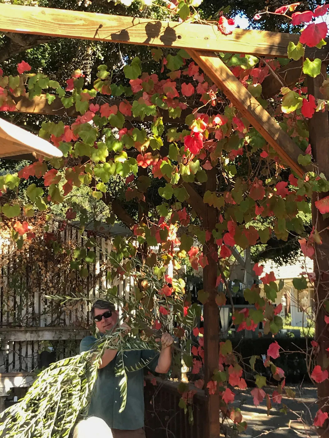 Pruning Natives Demystified with Bruce Reed