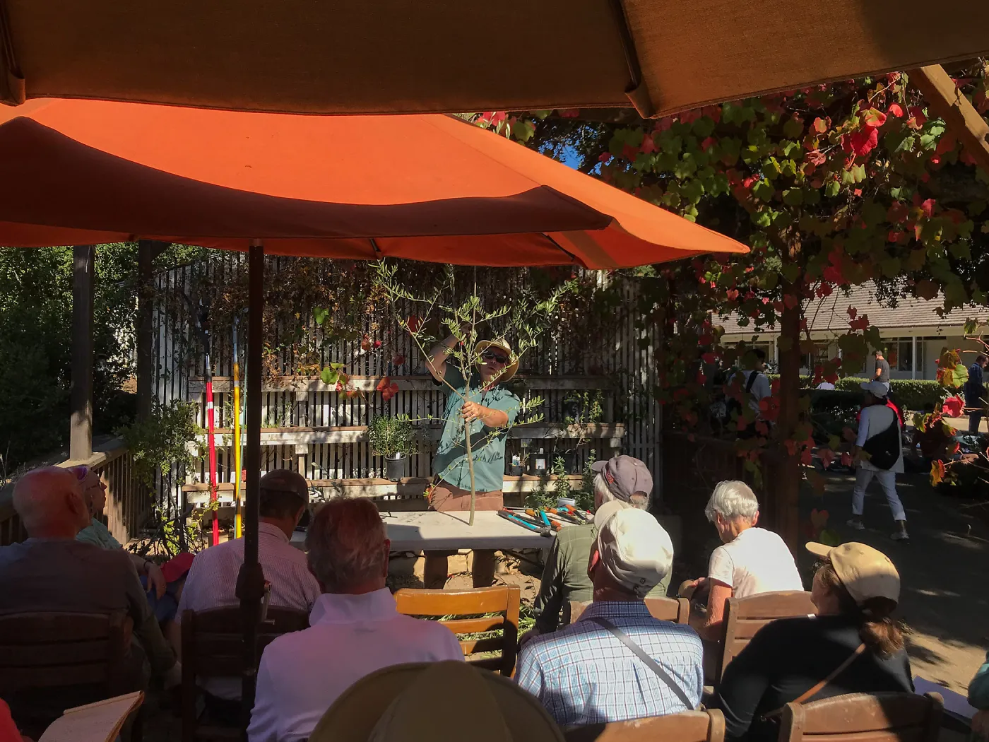 Pruning Natives Demystified with Bruce Reed