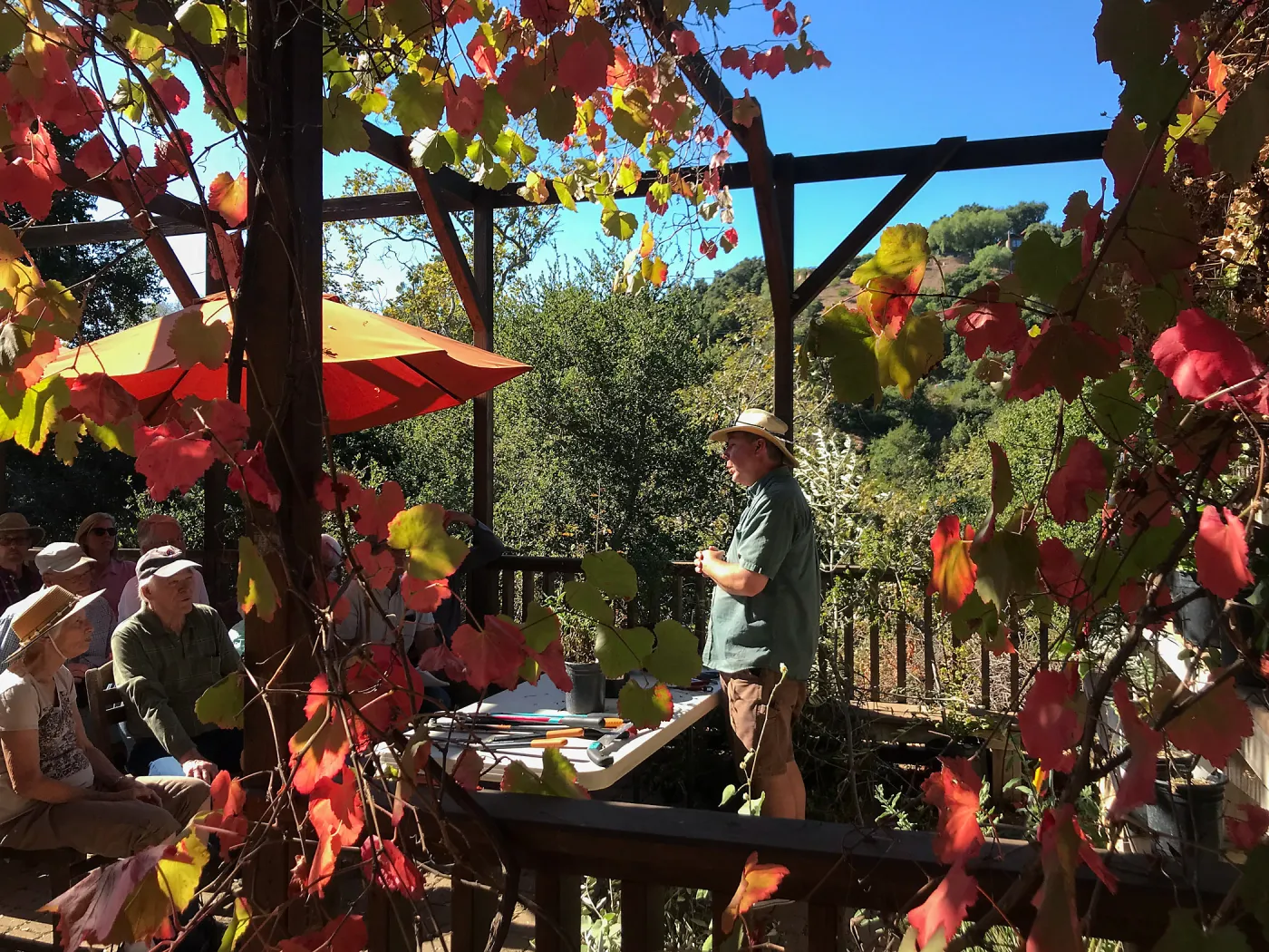 Pruning Natives Demystified with Bruce Reed