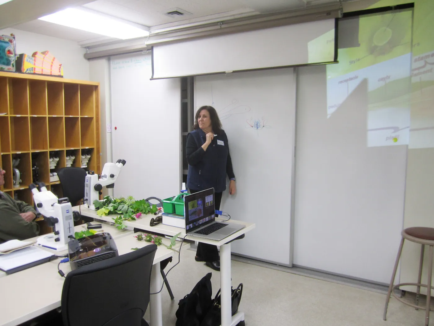 Advanced Plant Identification with Mary Carroll