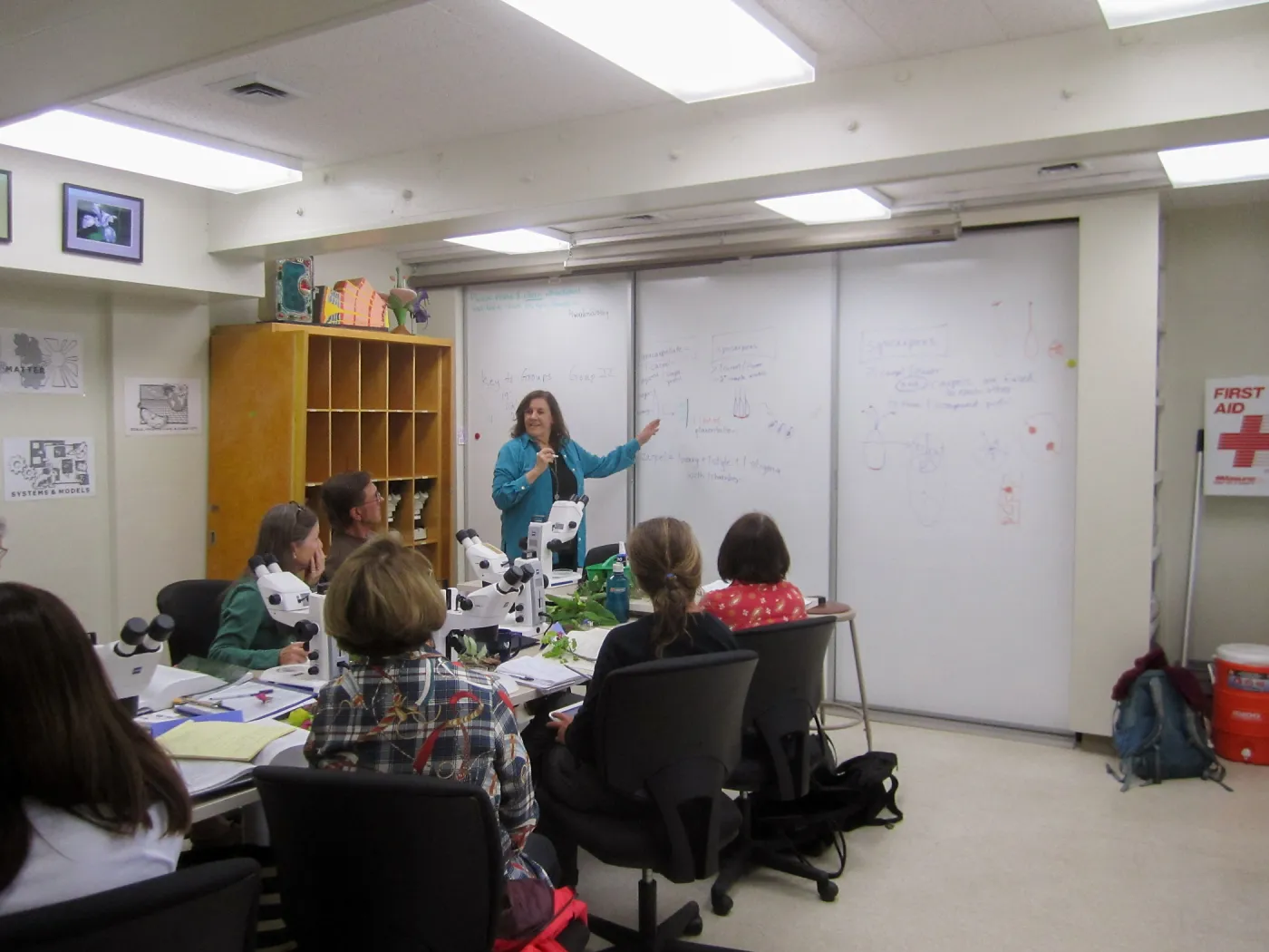 Advanced Plant Identification with Mary Carroll