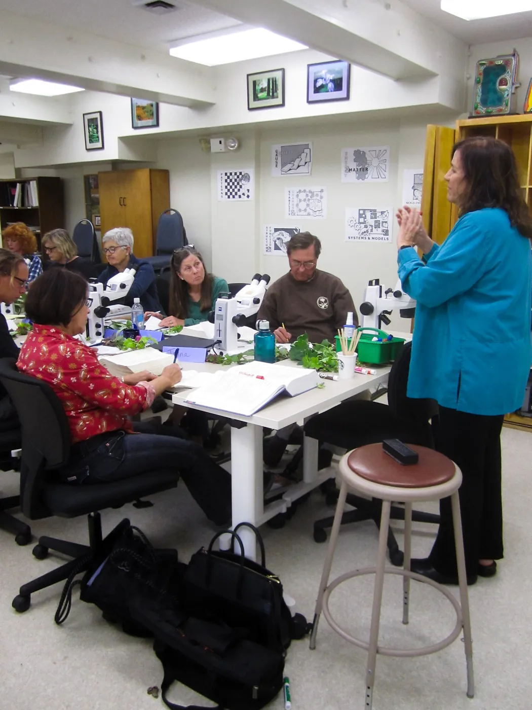 Advanced Plant Identification with Mary Carroll