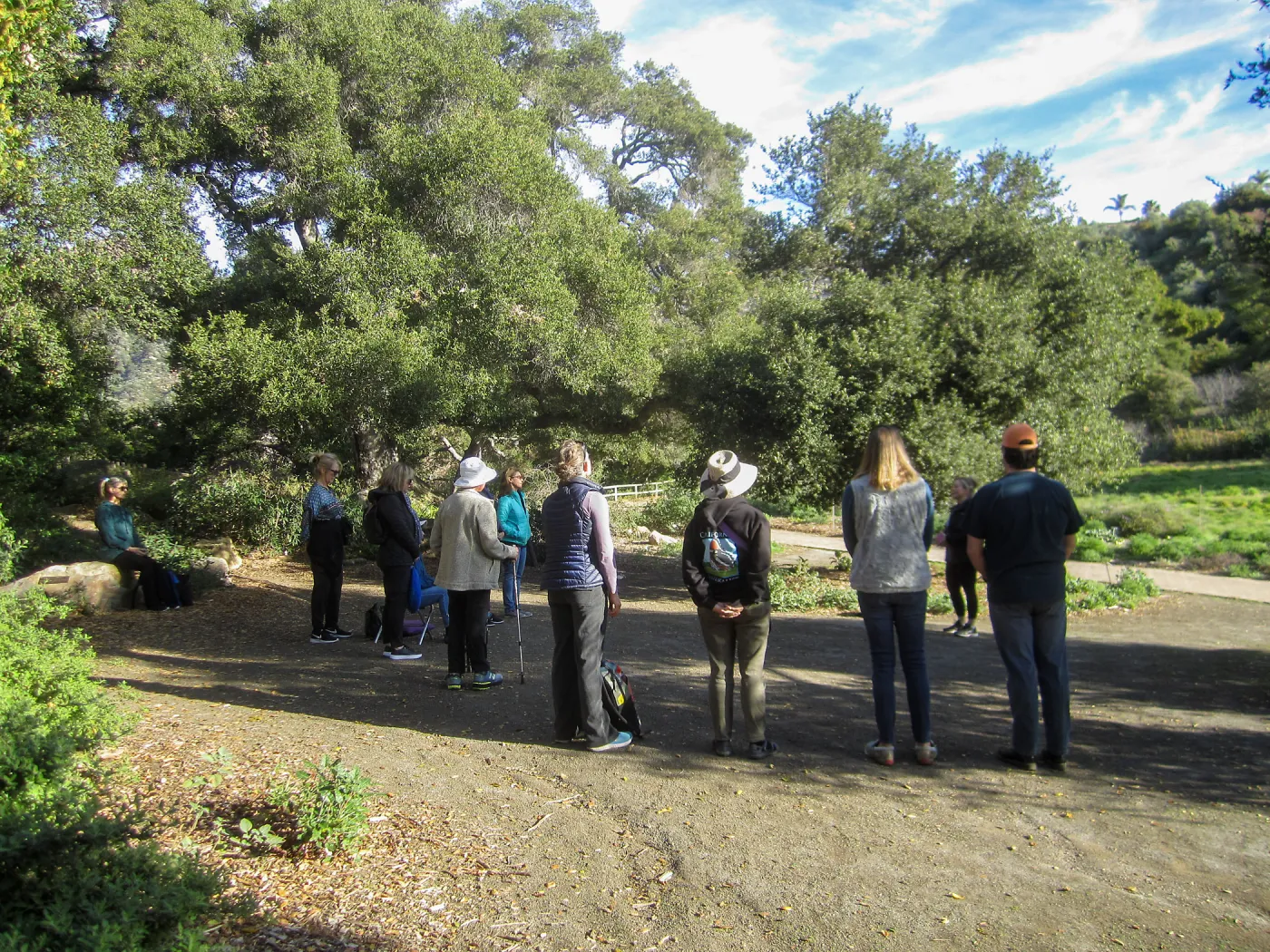 Forest Bathing Class