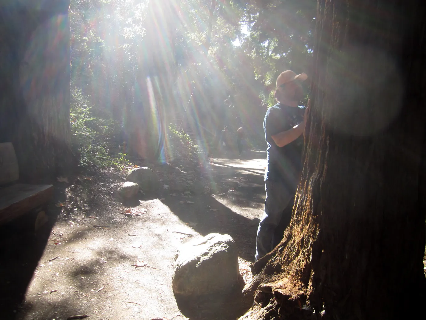 Forest Bathing Class