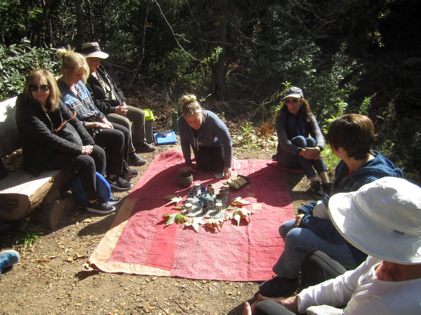 Forest Bathing Class