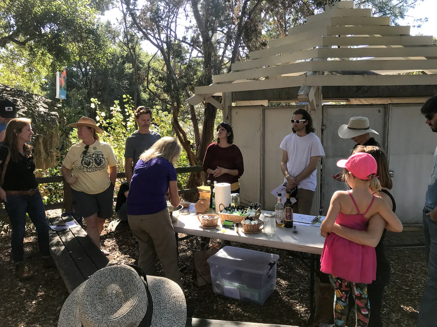 Herb Walk: Infused Oils & Salves