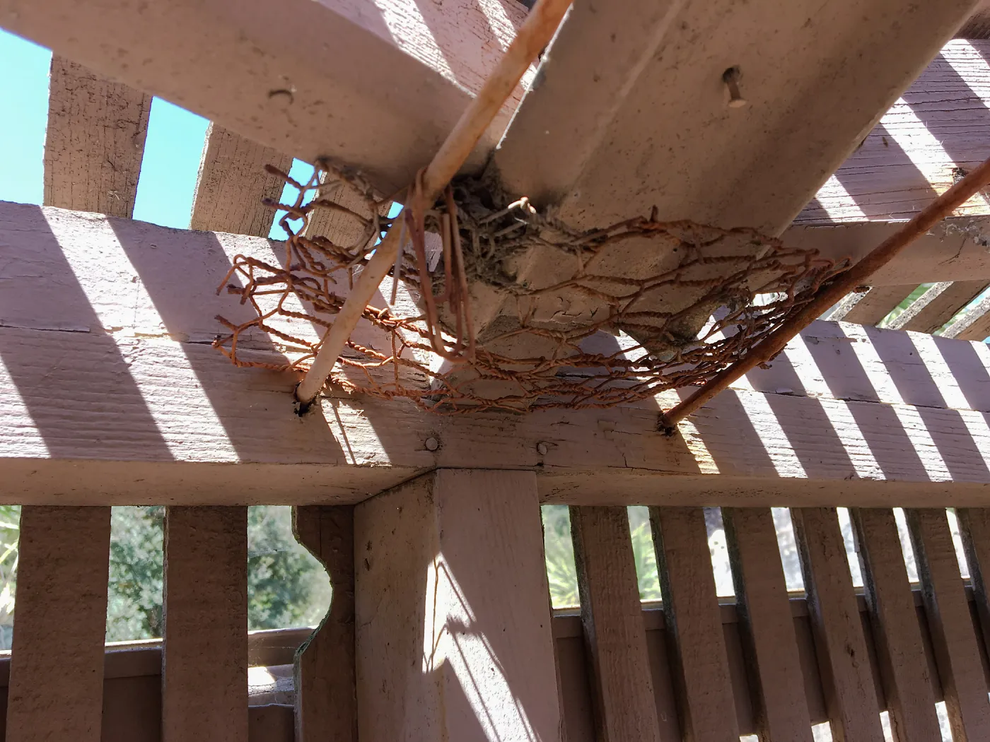 Repair of Garden Growers Lath House