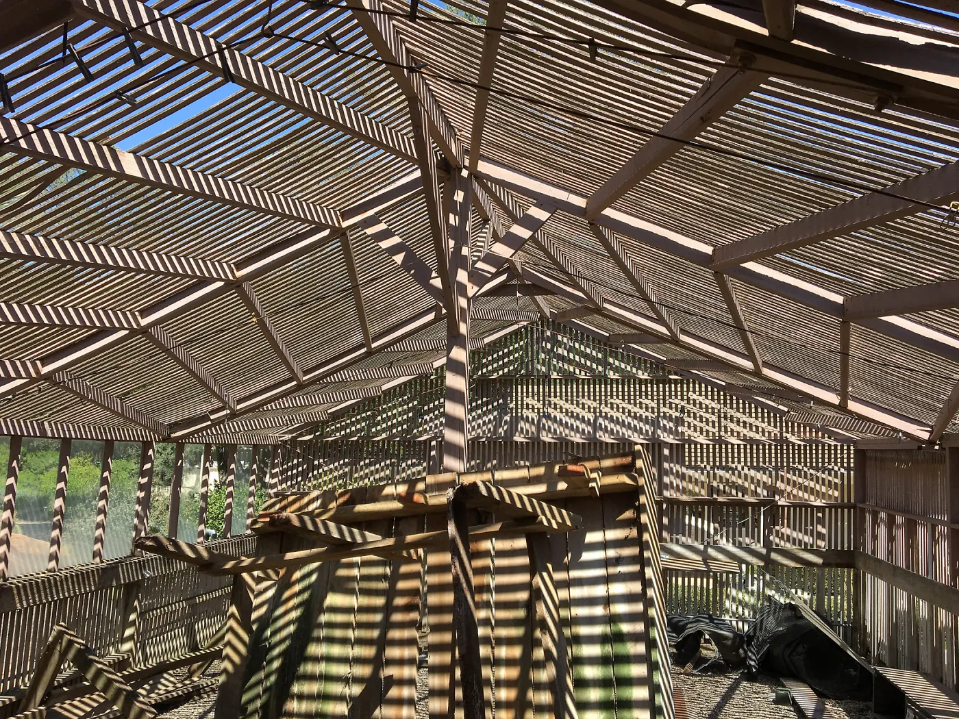 Repair of Garden Growers Lath House, looking east