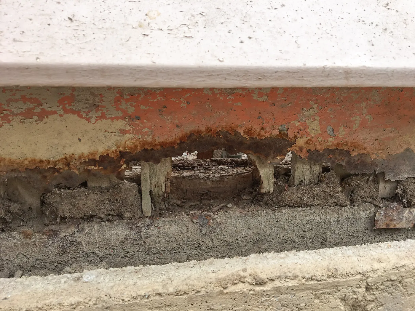 Repair of Garden Growers Lath House