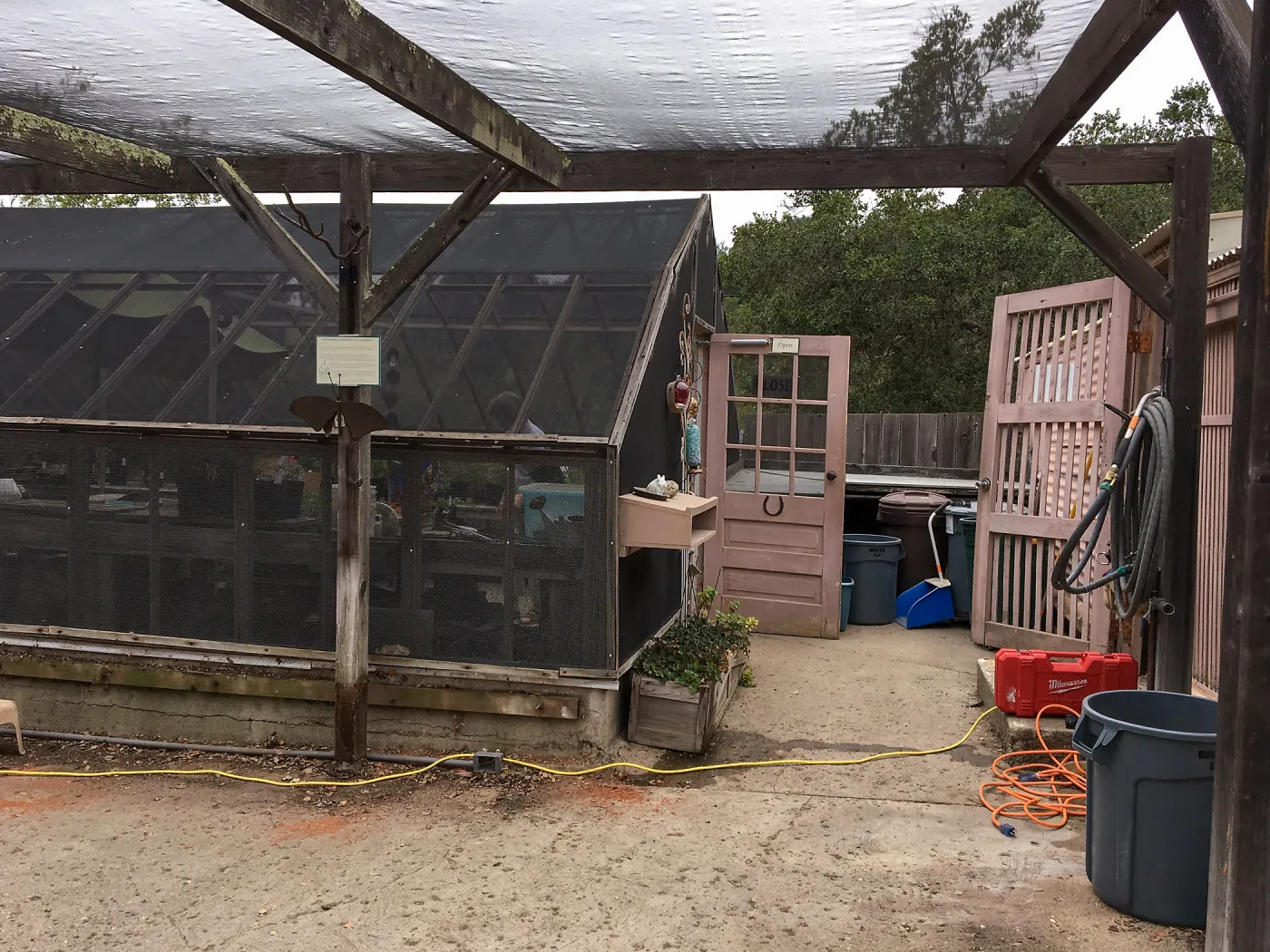 Repair of Garden Growers Lath House, looking west