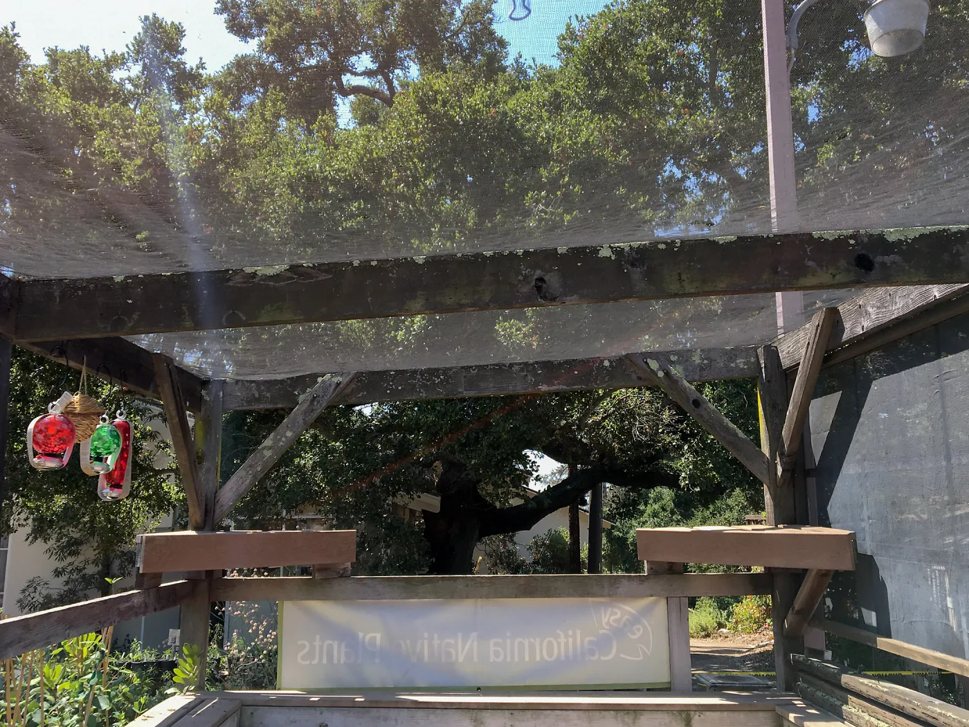 Repair of Garden Growers shade structure, looking south