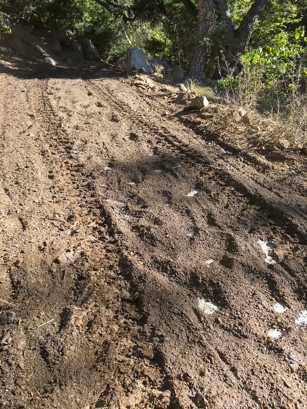 Eco-Pave, Canyon Trail by Mission Dam