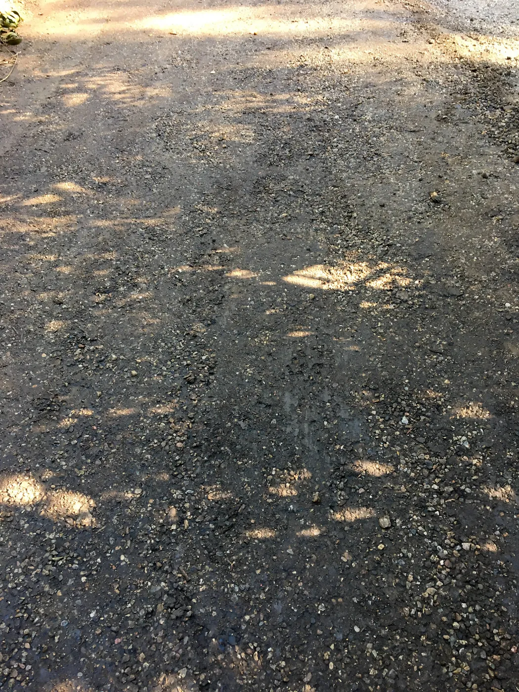 Eco-Pave, Canyon Trail by Mission Dam