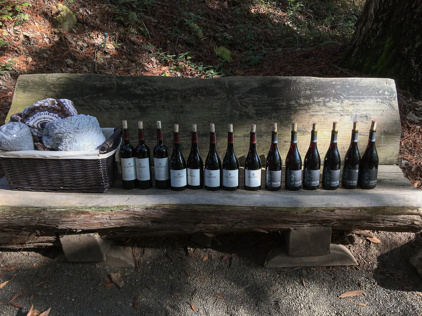 Garden to Table Dinner in the Redwoods