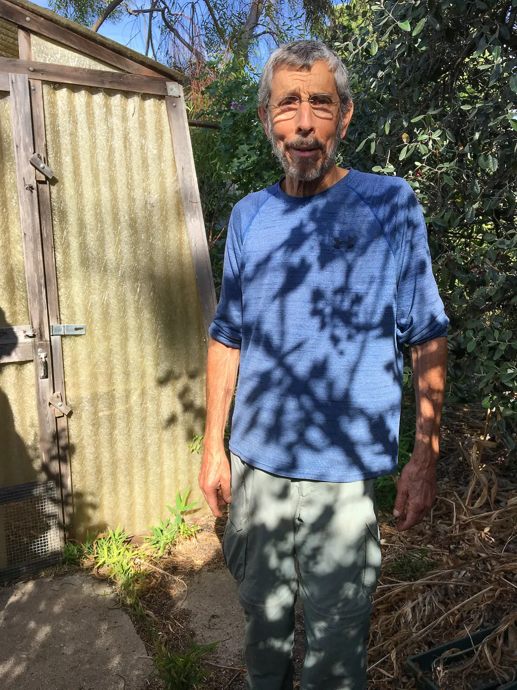 Ed Mercurio in his garden of Malva hybrids