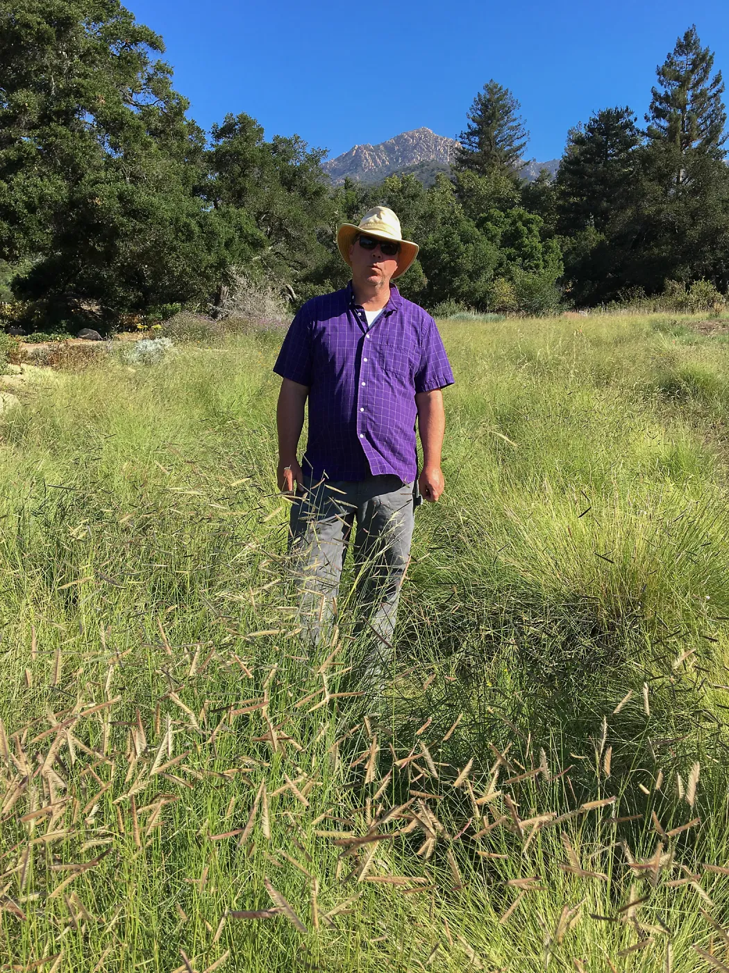 Bruce Reed in Bouteloua in Meadow