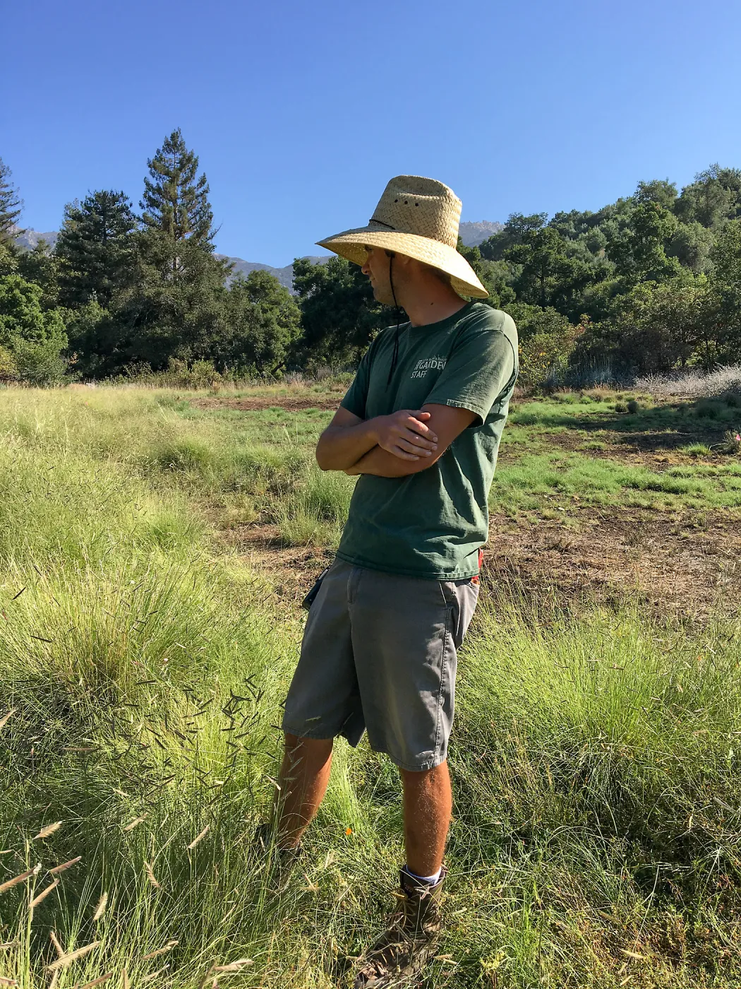 Wes Franken in the Meadow