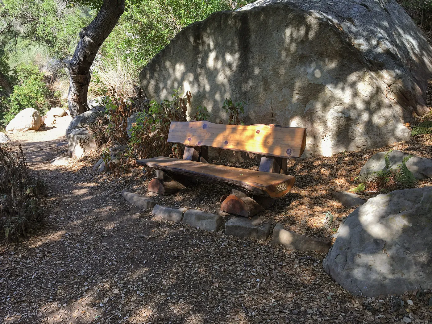 Annaâ€™s Bench, Pritchett Trail