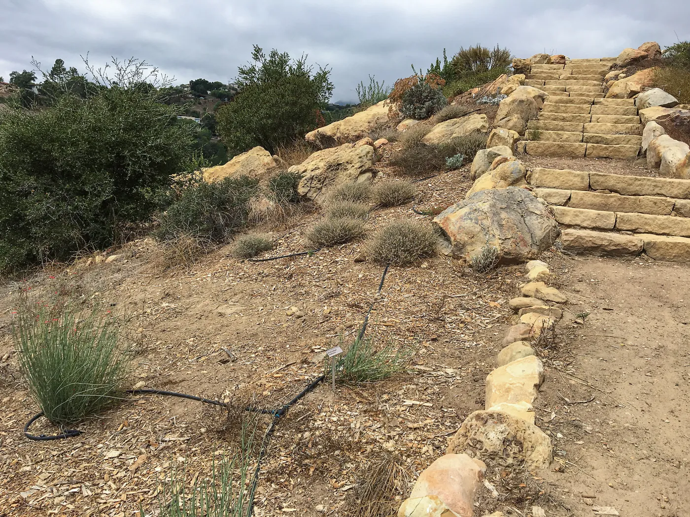 Baja Slope, south end, Island Section below PCC
