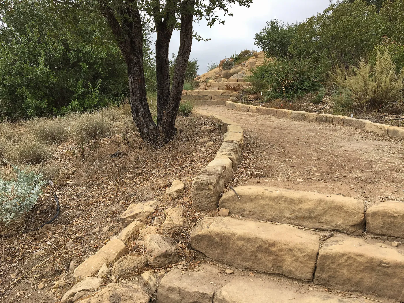 Reconstructed historic stairs, Island Section below PCC