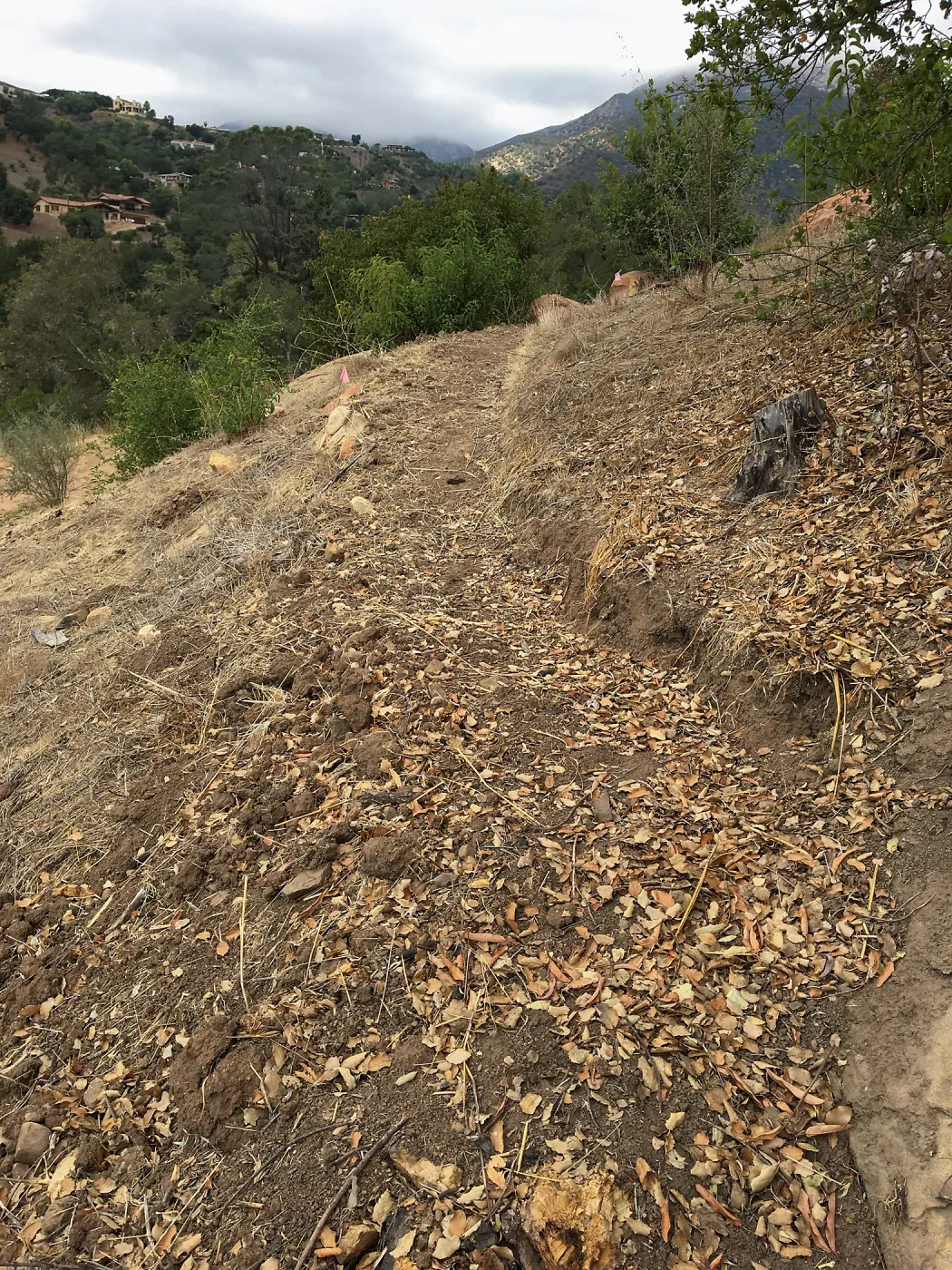 New Trail, Island Section below PCC