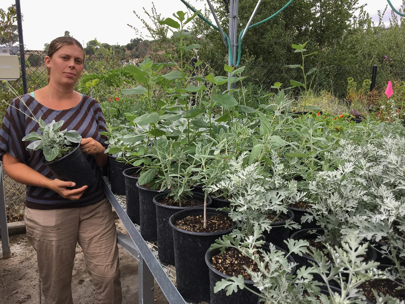 Heather Federlein in the can yard